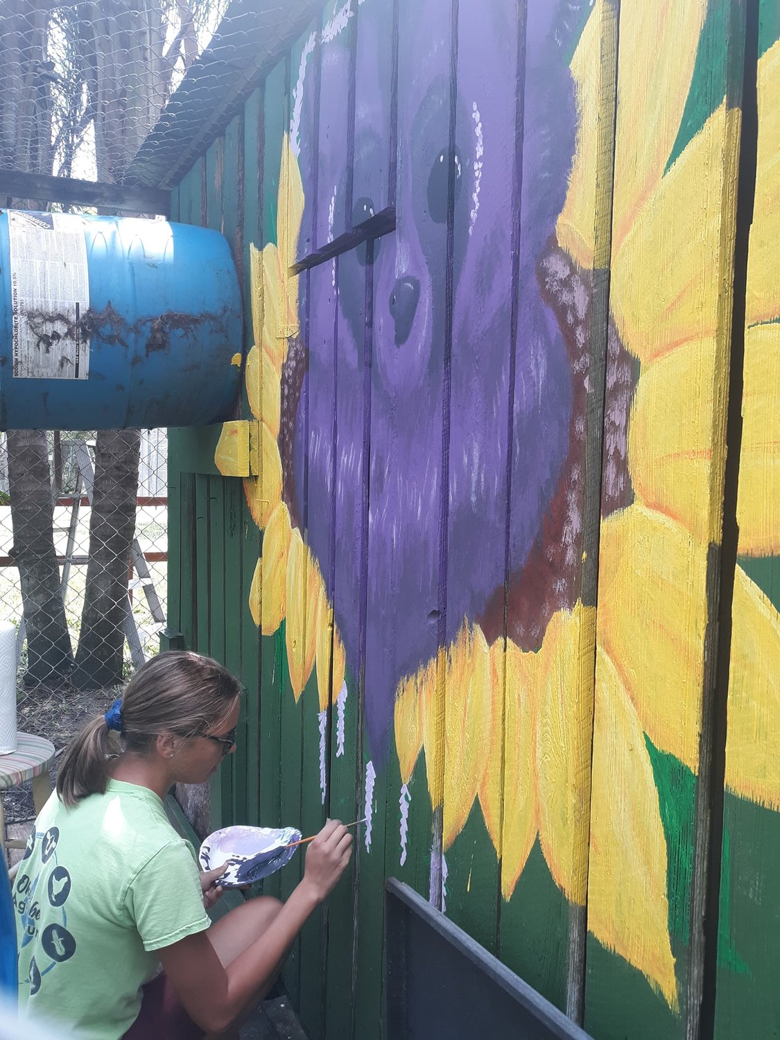 Emily Hilderbrand gives the raccoon enclosure a new look.